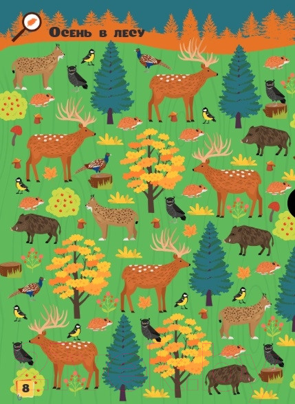 Изображение товара Развивающая книга АСТ Найди и посчитай