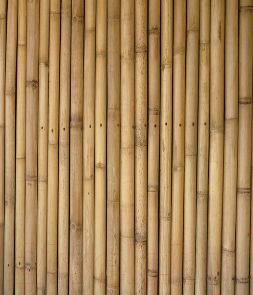 Изображение товара Шторка-занавеска для ванны JoyArty Прочный бамбук / sc_4731