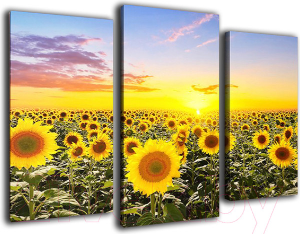 Изображение товара Картина модульная Arthata m-000416 (75x50)
