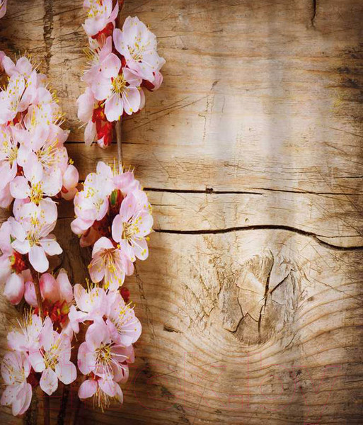 Изображение товара Шторка-занавеска для ванны JoyArty Ветка вишни на дереве / sc_27470