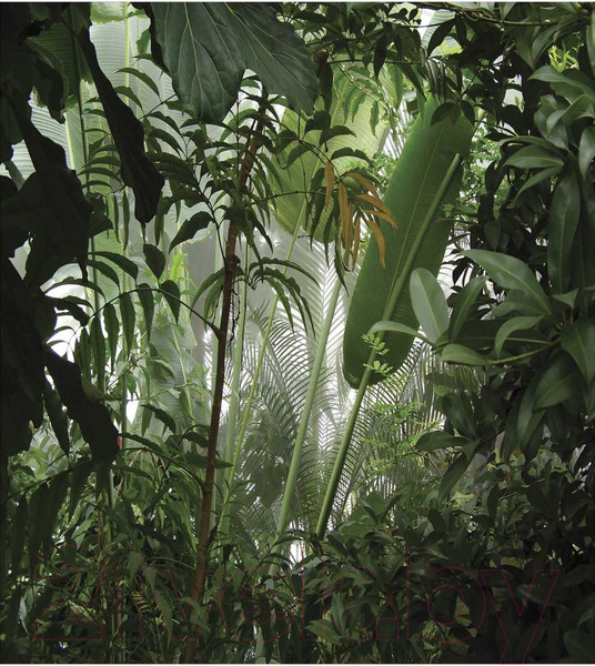 Изображение товара Шторка-занавеска для ванны JoyArty Заросли в джунглях / sc_11422