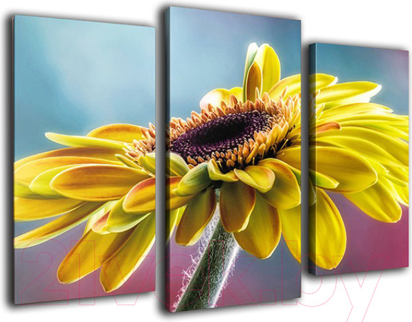 Изображение товара Картина модульная Arthata m-000424 (120x80)