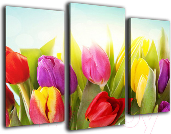 Изображение товара Картина модульная Arthata m-000432 (120x80)