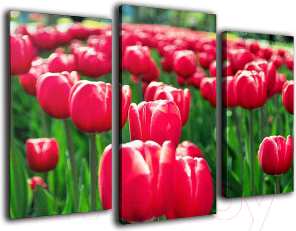 Изображение товара Картина модульная Arthata m-000433 (75x50)