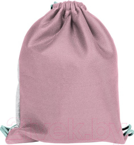 Изображение товара Мешок для обуви Paso PPBU20-713