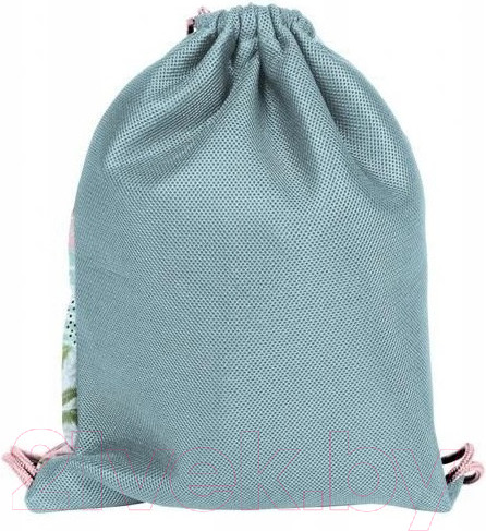 Изображение товара Мешок для обуви Paso PPTP21-713