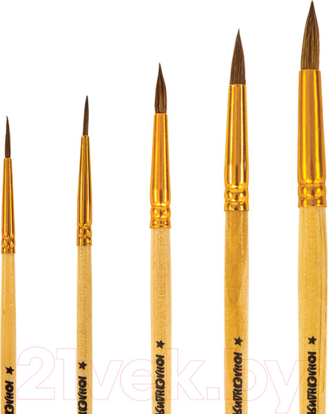 Изображение товара Набор кистей Юнландия 200893 (5шт)