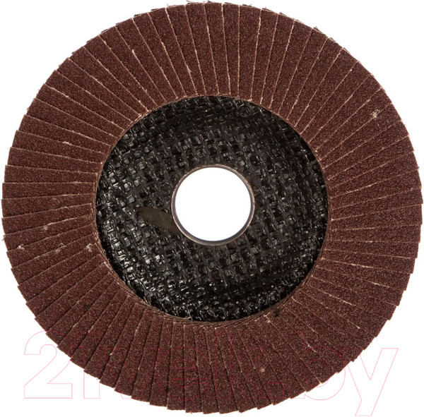 Изображение товара Шлифовальный круг Targ 125х22.2мм, зерно 100 / 663408