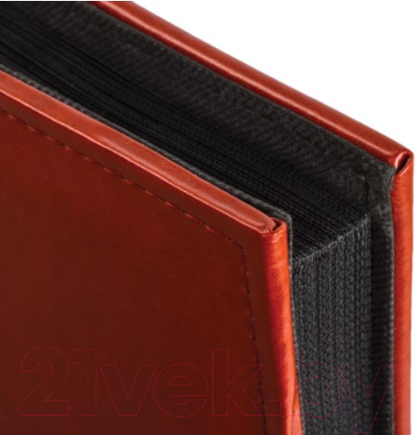 Изображение товара Фотоальбом Brauberg Delta / 391182 (коричневый)