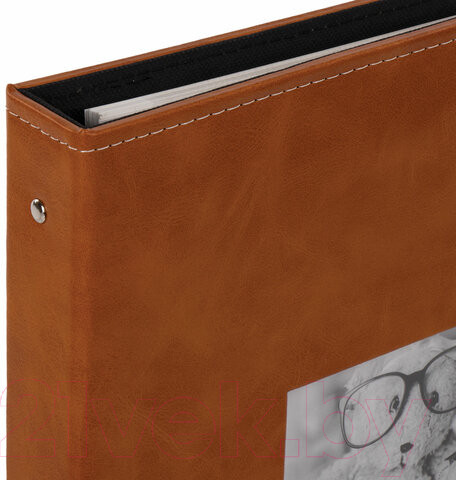 Изображение товара Фотоальбом Brauberg Premium / 391185 (коричневый)