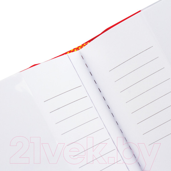 Изображение товара Фотоальбом Brauberg 391193 (красный)