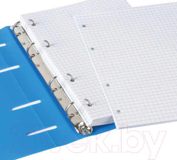 Изображение товара Тетрадь Brauberg А5 / 403251 (80л, голубой)