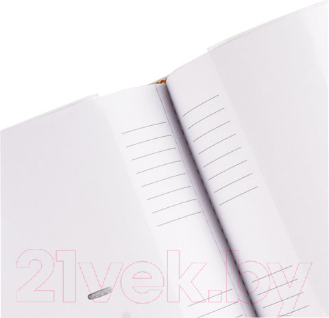 Изображение товара Фотоальбом Brauberg 391117 (белый/золото)