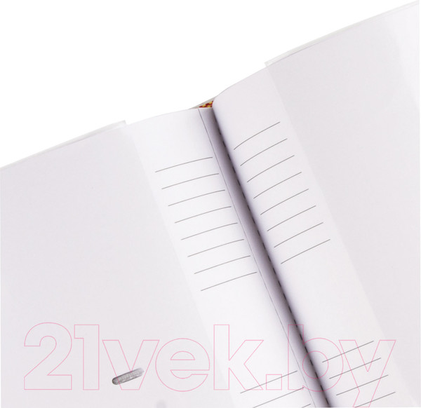 Изображение товара Фотоальбом Brauberg 391118 (коричневый/золото)