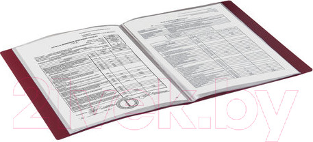 Изображение товара Папка для бумаг Brauberg 221602 (красный)