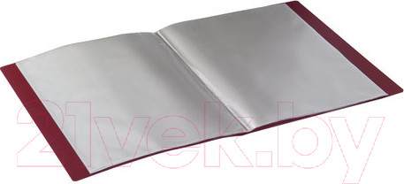 Изображение товара Папка для бумаг Brauberg 221602 (красный)