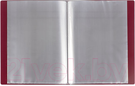 Изображение товара Папка для бумаг Brauberg 221602 (красный)