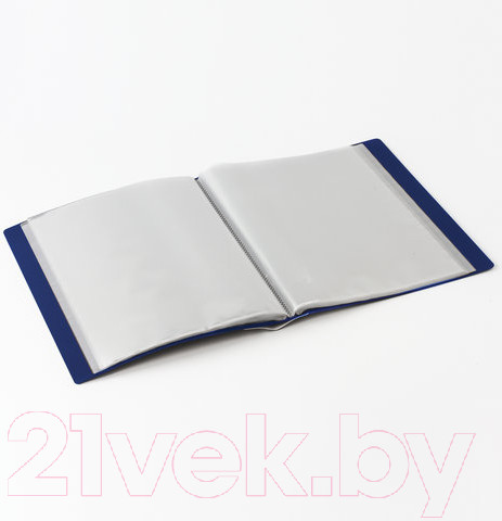 Изображение товара Папка для бумаг Brauberg 221607 (синий)