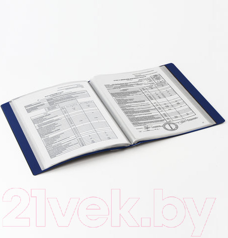 Изображение товара Папка для бумаг Brauberg 221607 (синий)