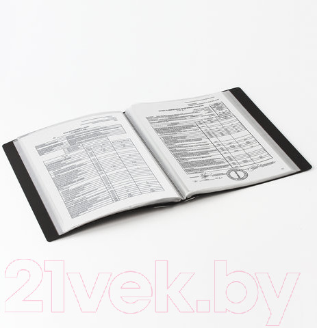 Изображение товара Папка для бумаг Brauberg 221608 (черный)