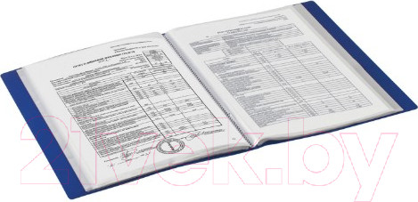 Изображение товара Папка для бумаг Brauberg 221609 (синий)