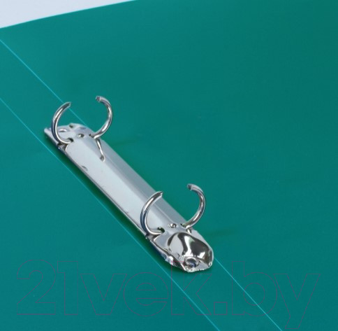 Изображение товара Папка для бумаг Brauberg Стандарт 221613 (зеленый)