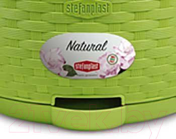 Изображение товара Вазон Stefanplast 75505 (салатовый)