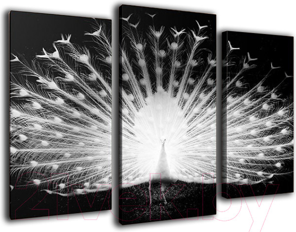 Изображение товара Картина модульная Arthata m-000441 (120x80)