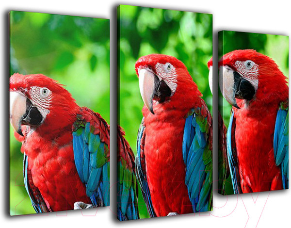 Изображение товара Картина модульная Arthata m-000444 (120x80)