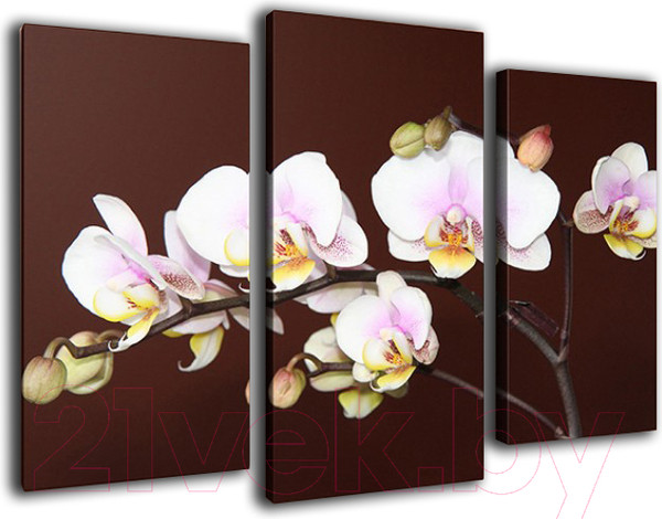 Изображение товара Картина модульная Arthata m-000446 (75x50)