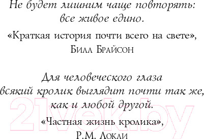 Изображение товара Книга Эксмо Вечный кролик (Ффорде Дж.)