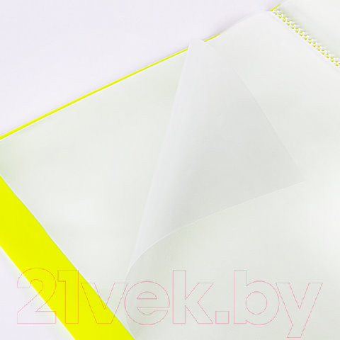 Изображение товара Папка для бумаг Brauberg Neon / 227453 (желтый)