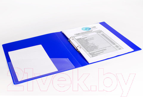 Изображение товара Папка для бумаг Brauberg Neon / 227459 (синий)