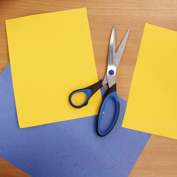 Изображение товара Ножницы канцелярские Brauberg Office Expert / 231563