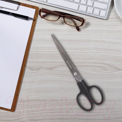 Изображение товара Ножницы канцелярские Brauberg Standard / 237097