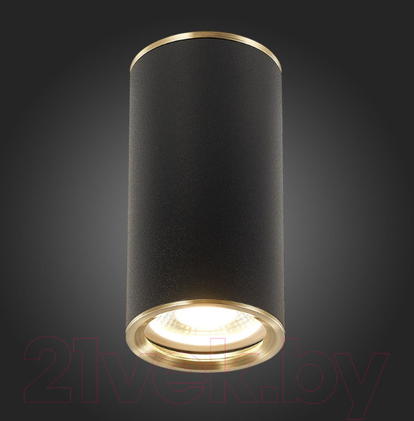 Изображение товара Точечный светильник ST Luce Chomus ST111.437.01