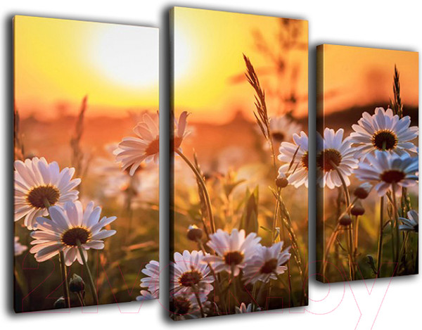 Изображение товара Картина модульная Arthata m-000451 (75x50)