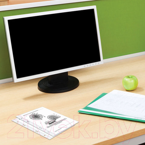 Изображение товара Набор файлов Brauberg А5 / 221714 (100шт)