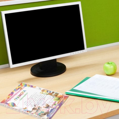 Изображение товара Набор файлов Юнландия А4 / 228680 (100шт)