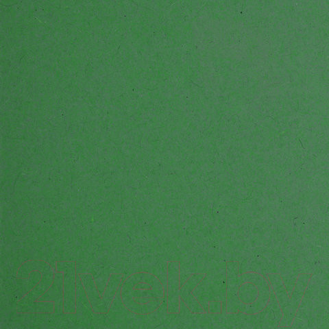 Изображение товара Набор папок Brauberg А4 Foolscap / 231795 (10шт)