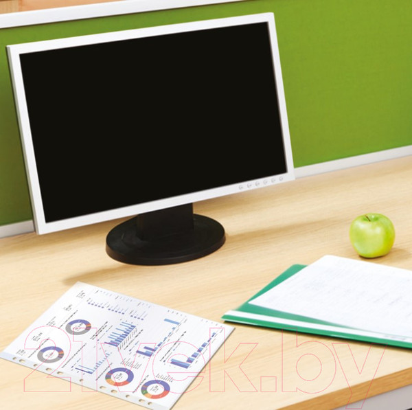 Изображение товара Набор файлов Brauberg Economy А4 / 229659 (100шт)