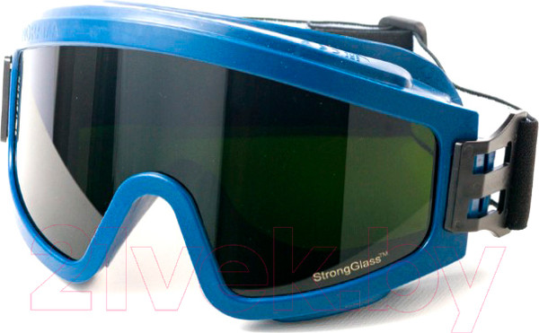 Изображение товара Защитные очки РОСОМЗ ЗН11 Panorama StrongGlass 6PC / 21135