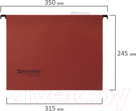 Изображение товара Набор папок Brauberg А4 / 231792 (10шт)