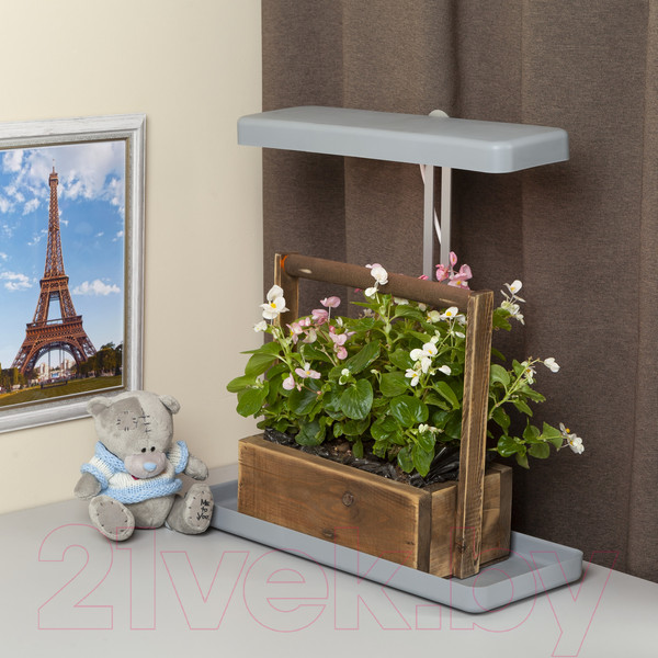 Изображение товара Светильник для растений ЭРА FITO-20W-QLED-G / Б0039035