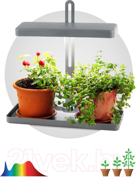 Изображение товара Светильник для растений ЭРА FITO-20W-QLED-G / Б0039035