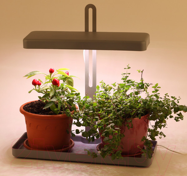 Изображение товара Светильник для растений ЭРА FITO-20W-QLED-G / Б0039035