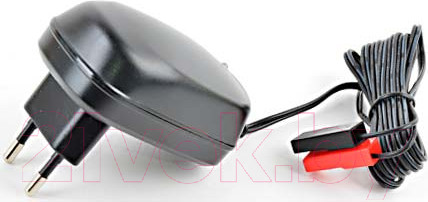 Изображение товара Зарядное устройство для аккумуляторов Robiton LAC12-1000/II BL1