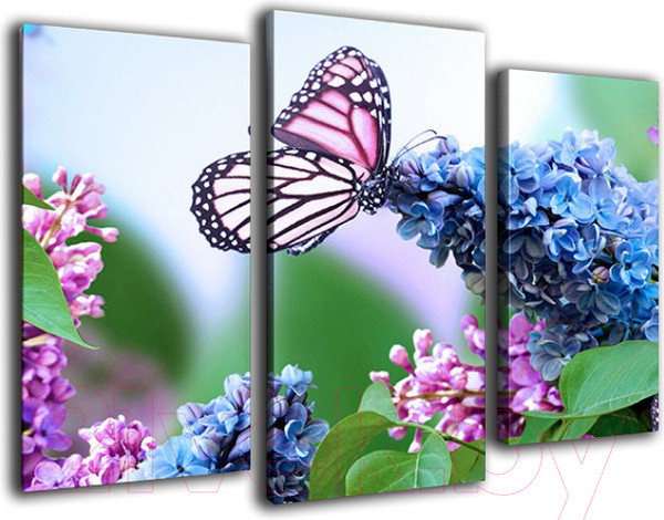 Изображение товара Картина модульная Arthata m-000461 (75x50)