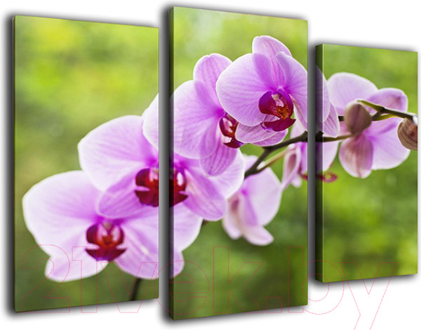 Изображение товара Картина модульная Arthata m-000464 (75x50)