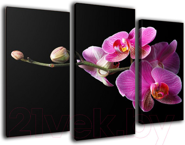 Изображение товара Картина модульная Arthata m-000467 (120x80)